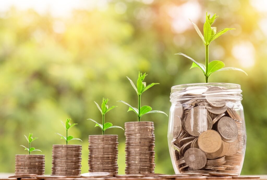Without Investment